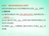2022_2023学年新教材高中生物第2章神经调节第4节神经系统的分级调节课件新人教版选择性必修1