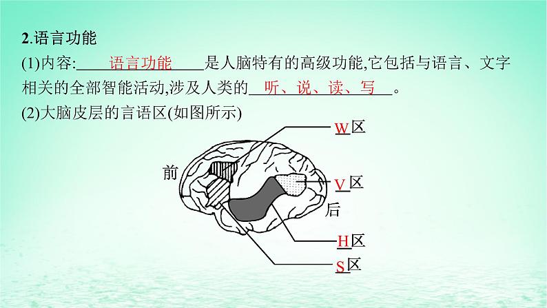 2022_2023学年新教材高中生物第2章神经调节第5节人脑的高级功能课件新人教版选择性必修106