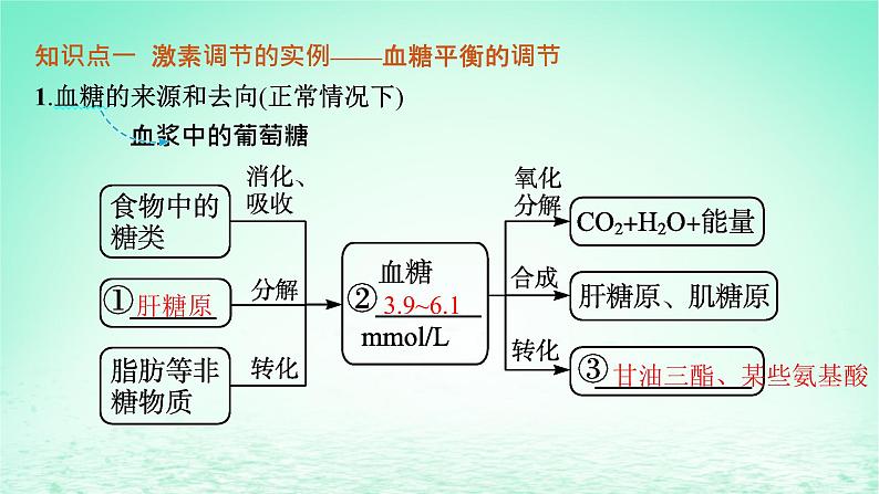 2022_2023学年新教材高中生物第3章体液调节第2节激素调节的过程课件新人教版选择性必修105