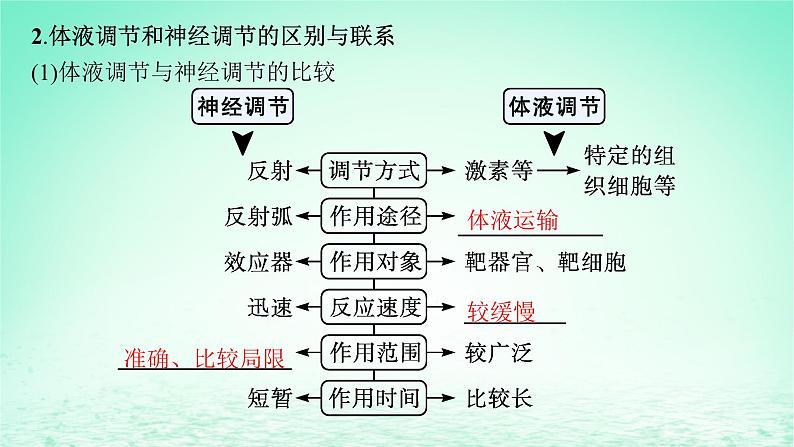 2022_2023学年新教材高中生物第3章体液调节第3节体液调节与神经调节的关系课件新人教版选择性必修106