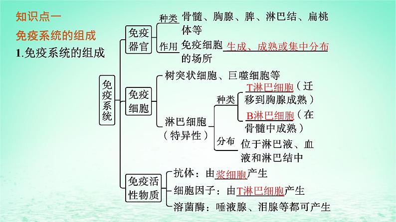 2022_2023学年新教材高中生物第4章免疫调节第1节免疫系统的组成和功能课件新人教版选择性必修1第5页