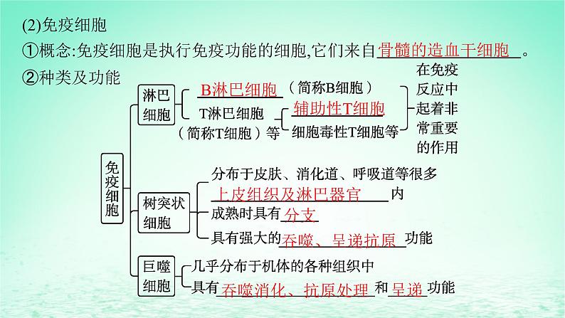 2022_2023学年新教材高中生物第4章免疫调节第1节免疫系统的组成和功能课件新人教版选择性必修1第7页