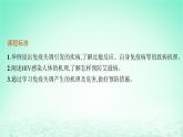 2022_2023学年新教材高中生物第4章免疫调节第3节免疫失调课件新人教版选择性必修1