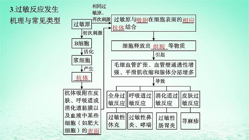 2022_2023学年新教材高中生物第4章免疫调节第3节免疫失调课件新人教版选择性必修106