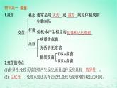 2022_2023学年新教材高中生物第4章免疫调节第4节免疫学的应用课件新人教版选择性必修1