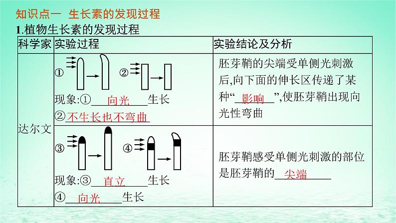 2022_2023学年新教材高中生物第5章植物生命活动的调节第1节植物生长素课件新人教版选择性必修105