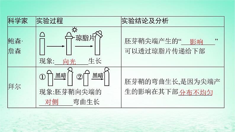 2022_2023学年新教材高中生物第5章植物生命活动的调节第1节植物生长素课件新人教版选择性必修106