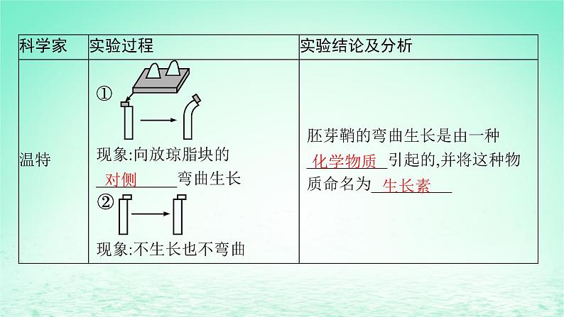 2022_2023学年新教材高中生物第5章植物生命活动的调节第1节植物生长素课件新人教版选择性必修107