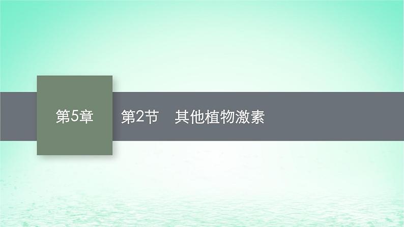 2022_2023学年新教材高中生物第5章植物生命活动的调节第2节其他植物激素课件新人教版选择性必修101