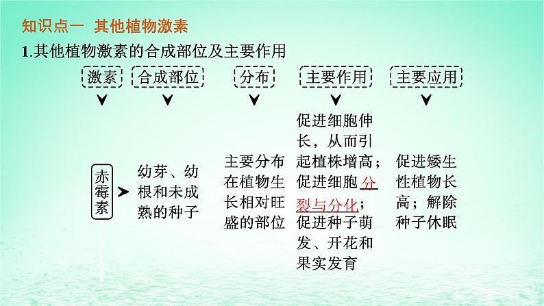 2022_2023学年新教材高中生物第5章植物生命活动的调节第2节其他植物激素课件新人教版选择性必修105