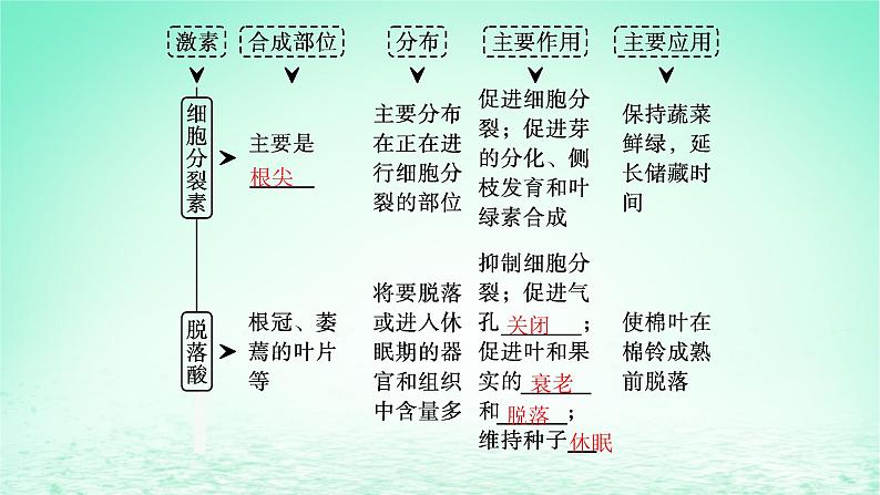 2022_2023学年新教材高中生物第5章植物生命活动的调节第2节其他植物激素课件新人教版选择性必修106