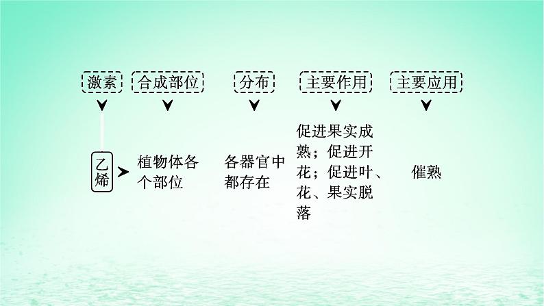 2022_2023学年新教材高中生物第5章植物生命活动的调节第2节其他植物激素课件新人教版选择性必修107