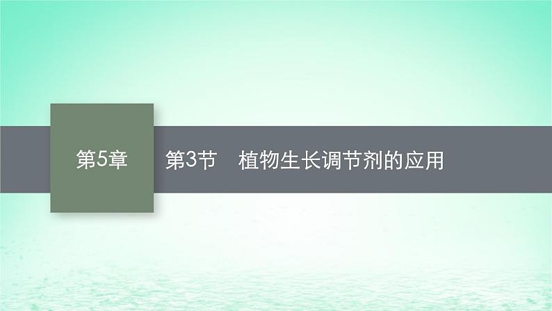 2022_2023学年新教材高中生物第5章植物生命活动的调节第3节植物生长调节剂的应用课件新人教版选择性必修1第1页