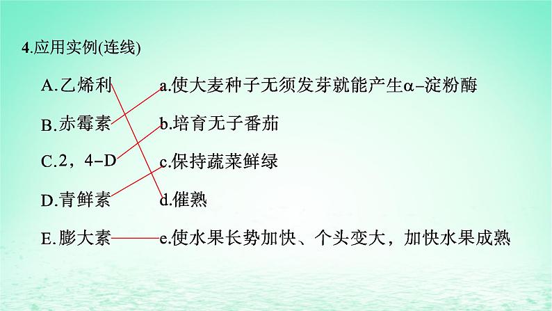 2022_2023学年新教材高中生物第5章植物生命活动的调节第3节植物生长调节剂的应用课件新人教版选择性必修1第6页