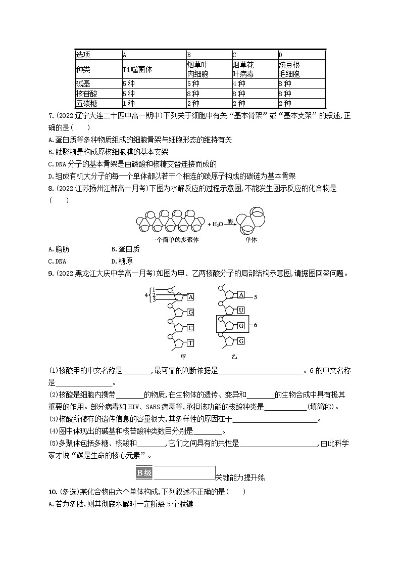 2022_2023学年新教材高中生物第2章组成细胞的分子第5节核酸是遗传信息的携带者课后习题新人教版必修1第2页