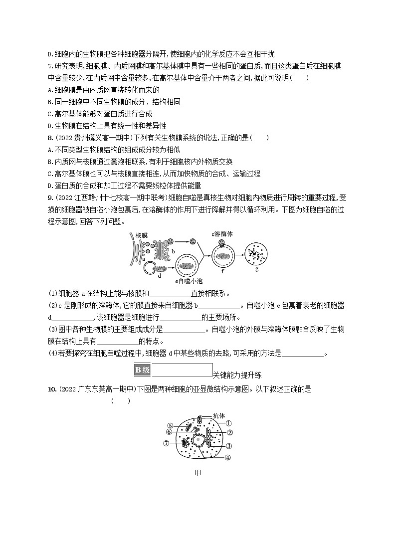 2022_2023学年新教材高中生物第3章细胞的基本结构第2节细胞器之间的分工合作第2课时细胞器之间的协调配合和细胞的生物膜系统课后习题新人教版必修1第2页