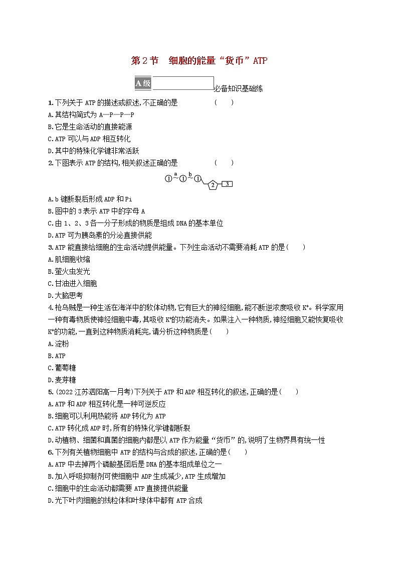 2022_2023学年新教材高中生物第5章细胞的能量供应和利用第2节细胞的能量“货币”ATP课后习题新人教版必修1第1页