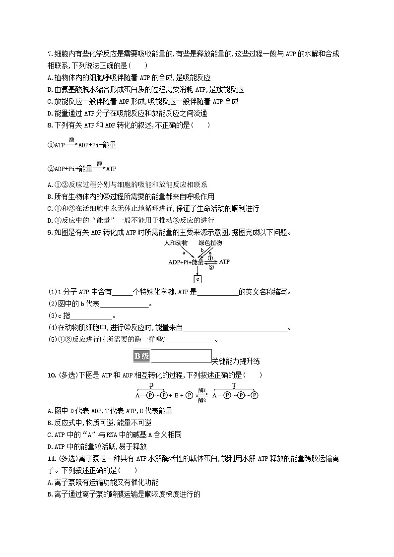 2022_2023学年新教材高中生物第5章细胞的能量供应和利用第2节细胞的能量“货币”ATP课后习题新人教版必修1第2页