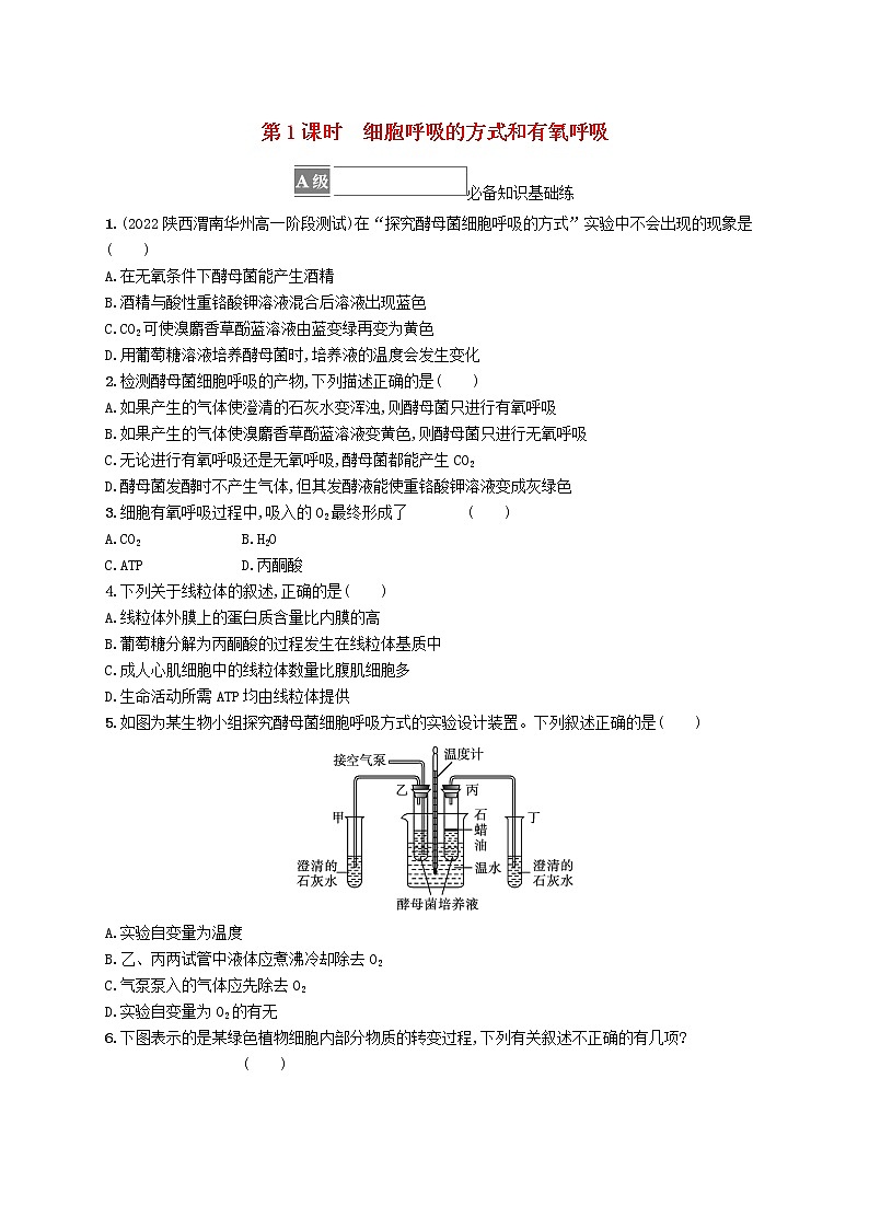 2022_2023学年新教材高中生物第5章细胞的能量供应和利用第3节细胞呼吸的原理和应用第1课时细胞呼吸的方式和有氧呼吸课后习题新人教版必修1第1页