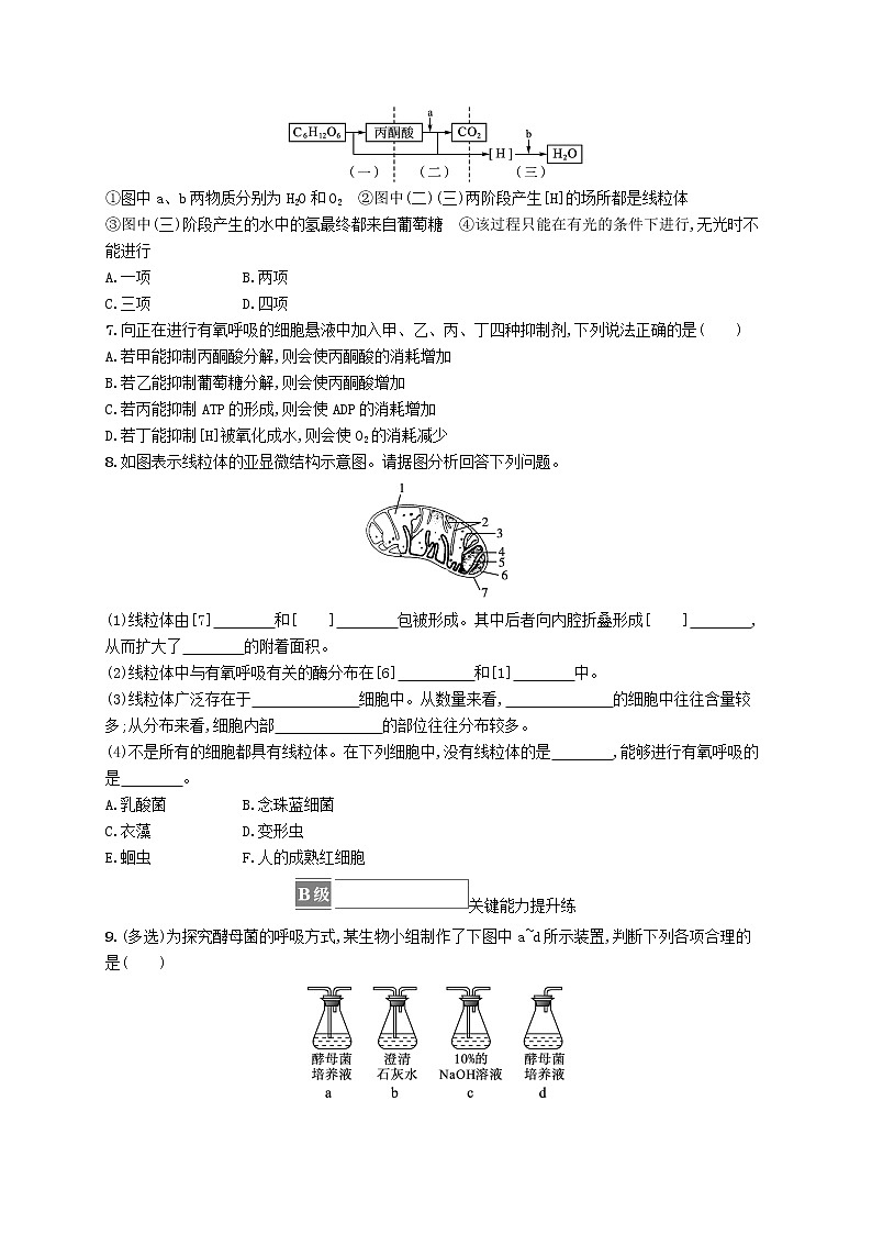 2022_2023学年新教材高中生物第5章细胞的能量供应和利用第3节细胞呼吸的原理和应用第1课时细胞呼吸的方式和有氧呼吸课后习题新人教版必修1第2页