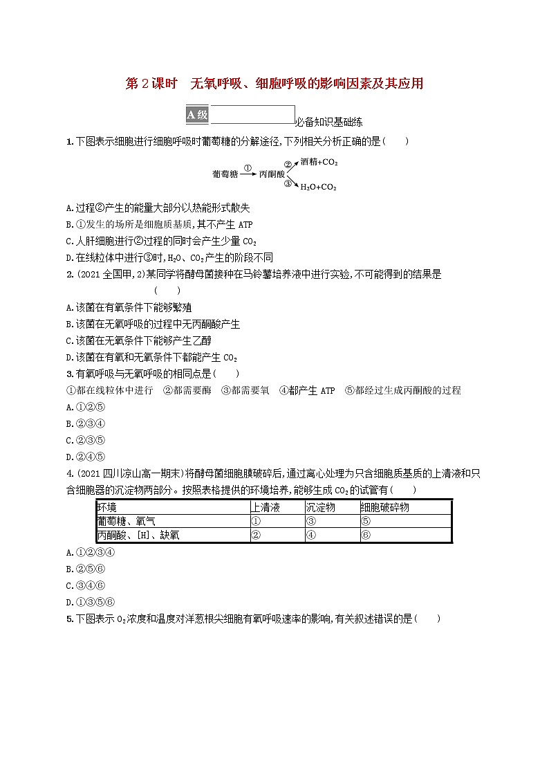 2022_2023学年新教材高中生物第5章细胞的能量供应和利用第3节细胞呼吸的原理和应用第2课时无氧呼吸细胞呼吸的影响因素及其应用课后习题新人教版必修101
