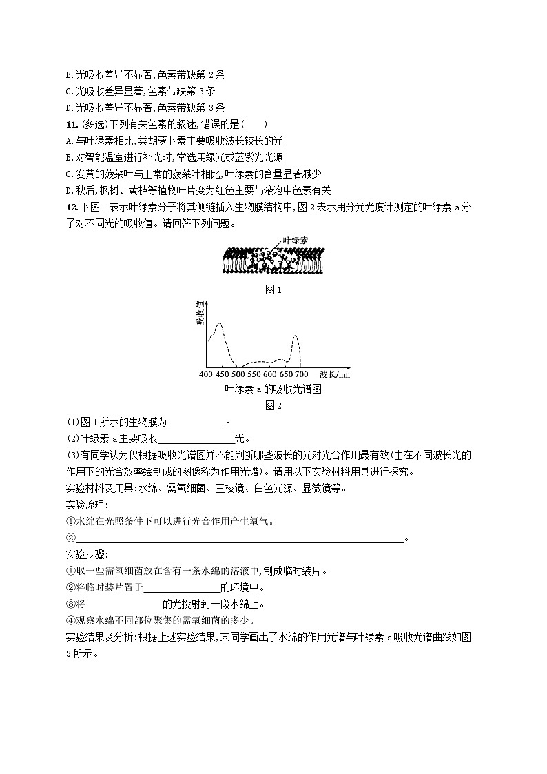 2022_2023学年新教材高中生物第5章细胞的能量供应和利用第4节光合作用与能量转化第1课时捕获光能的色素和结构课后习题新人教版必修103