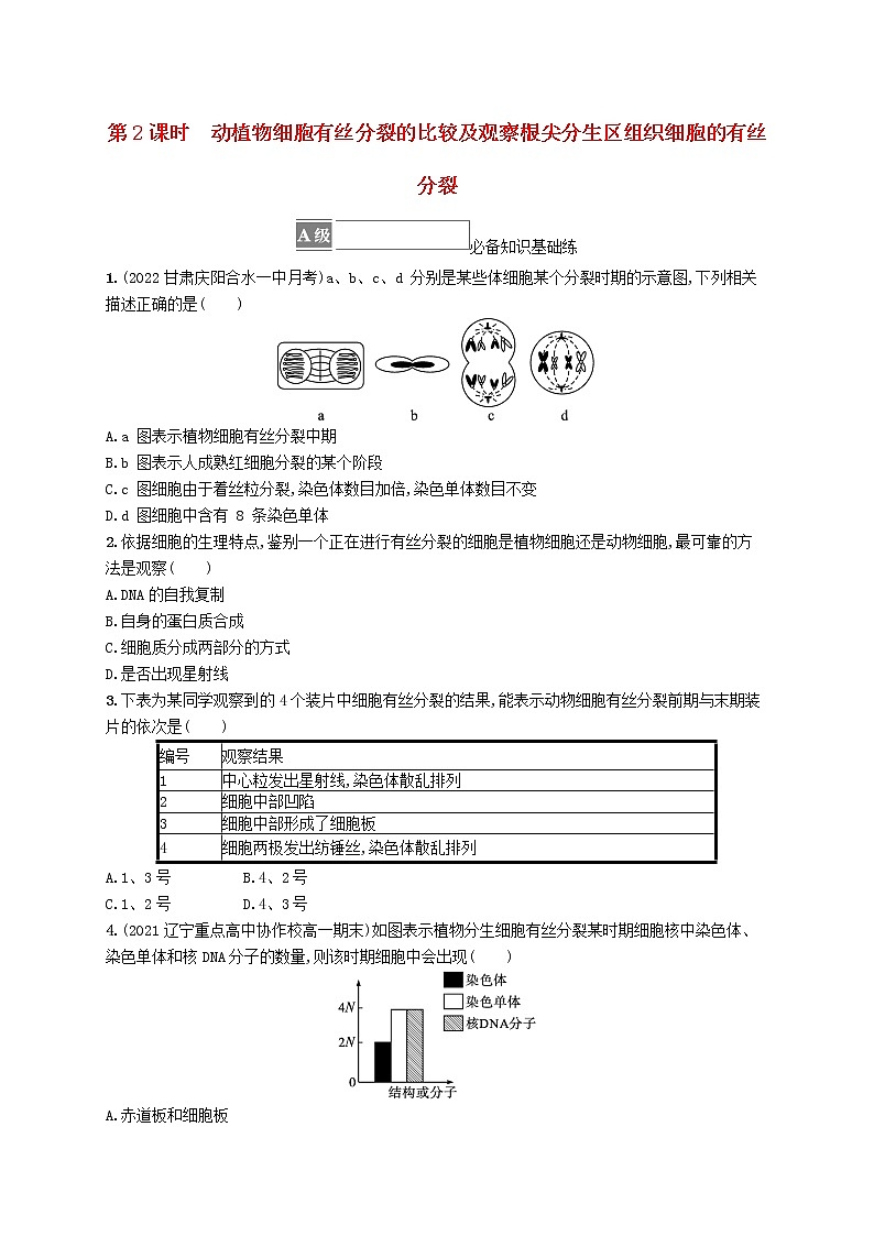 2022_2023学年新教材高中生物第6章细胞的生命历程第1节细胞的增殖第2课时动植物细胞有丝分裂的比较及观察根尖分生区组织细胞的有丝分裂课后习题新人教版必修1第1页