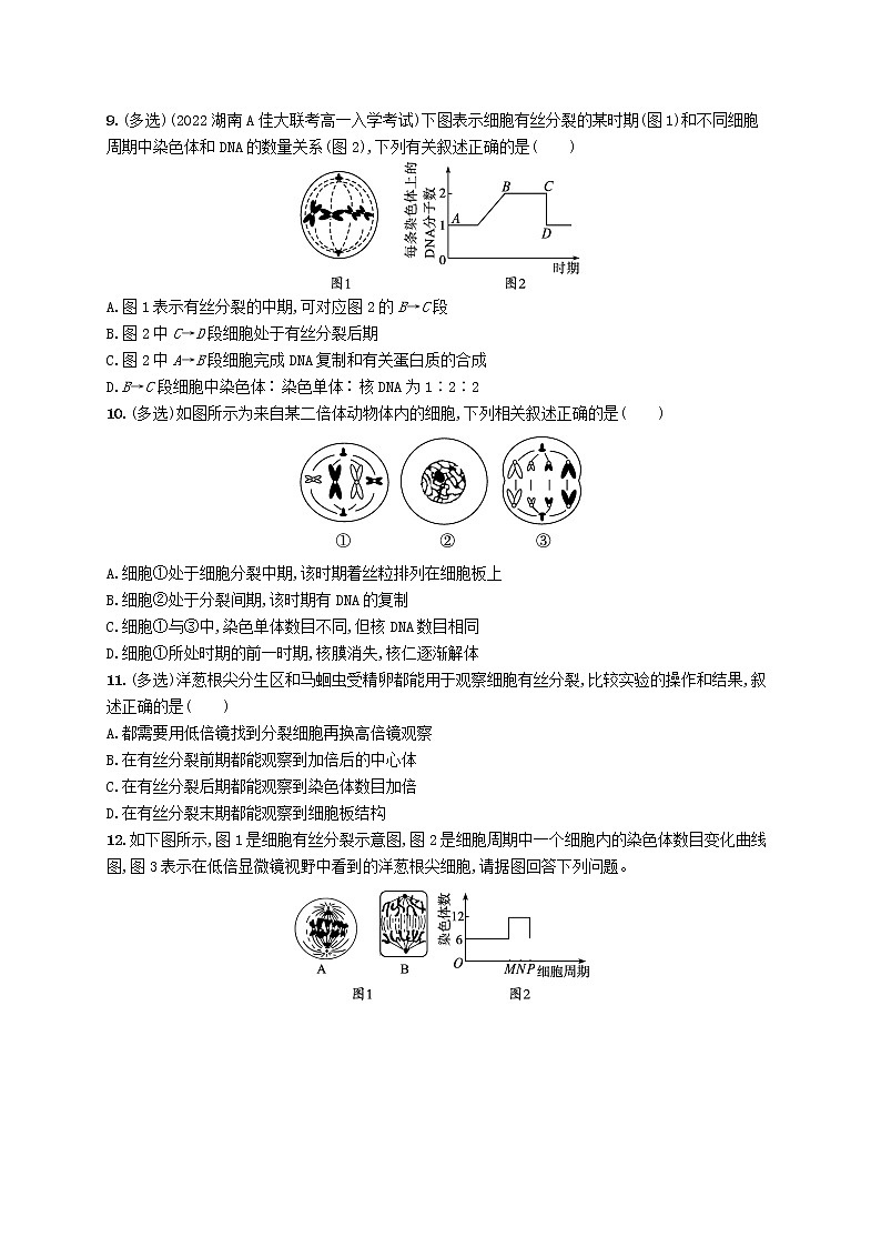 2022_2023学年新教材高中生物第6章细胞的生命历程第1节细胞的增殖第2课时动植物细胞有丝分裂的比较及观察根尖分生区组织细胞的有丝分裂课后习题新人教版必修1第3页