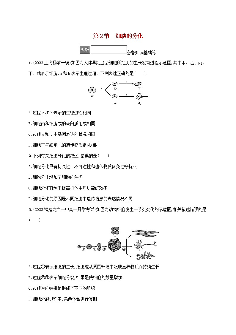 2022_2023学年新教材高中生物第6章细胞的生命历程第2节细胞的分化课后习题新人教版必修101