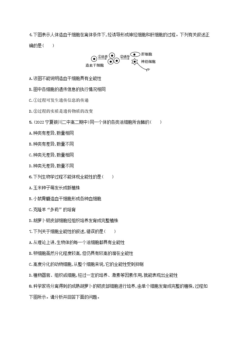 2022_2023学年新教材高中生物第6章细胞的生命历程第2节细胞的分化课后习题新人教版必修102