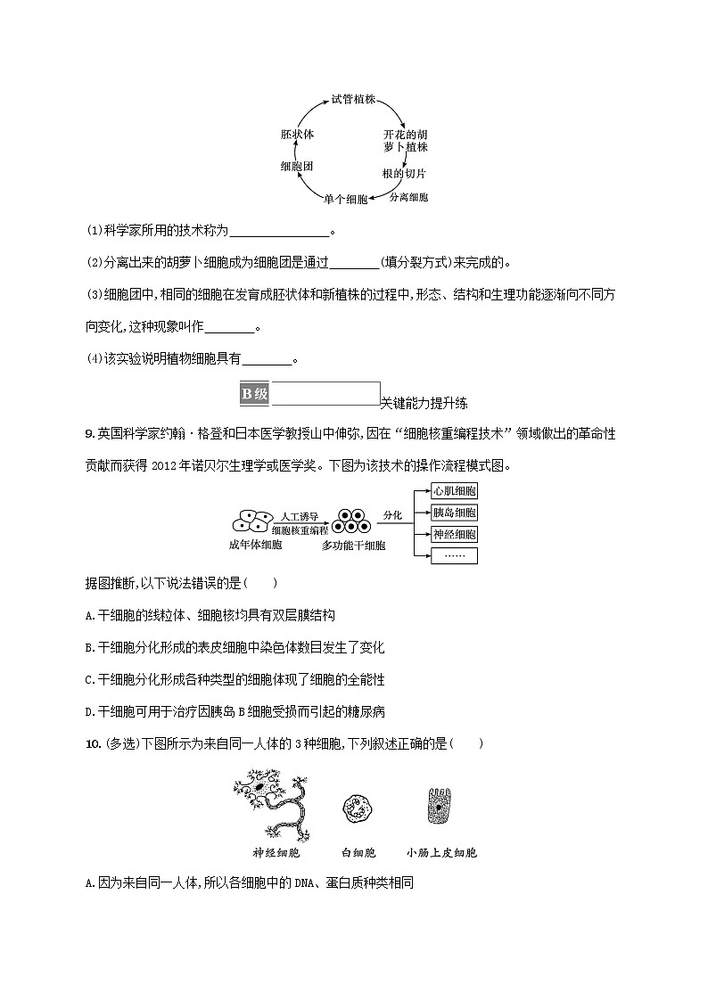 2022_2023学年新教材高中生物第6章细胞的生命历程第2节细胞的分化课后习题新人教版必修103