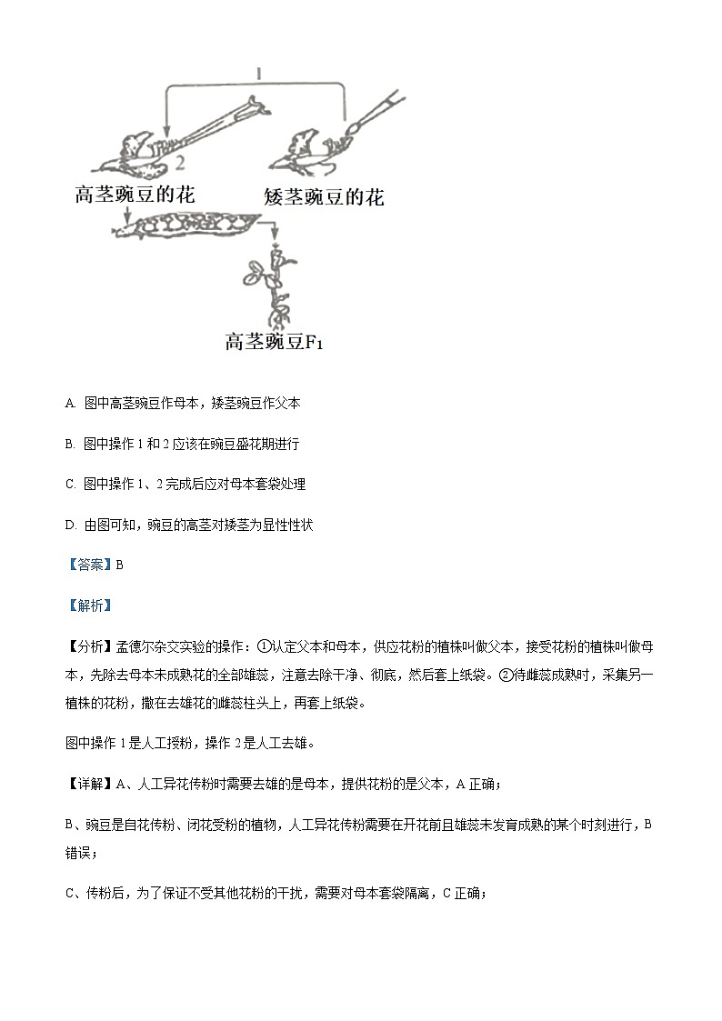 2021-2022学年陕西省榆林市绥德中学、府谷中学高一下学期期中联考生物试题含解析02