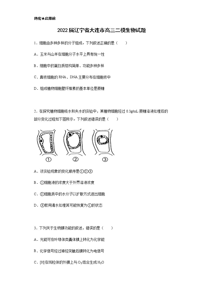 2022届辽宁省大连市高三二模生物试题含解析01