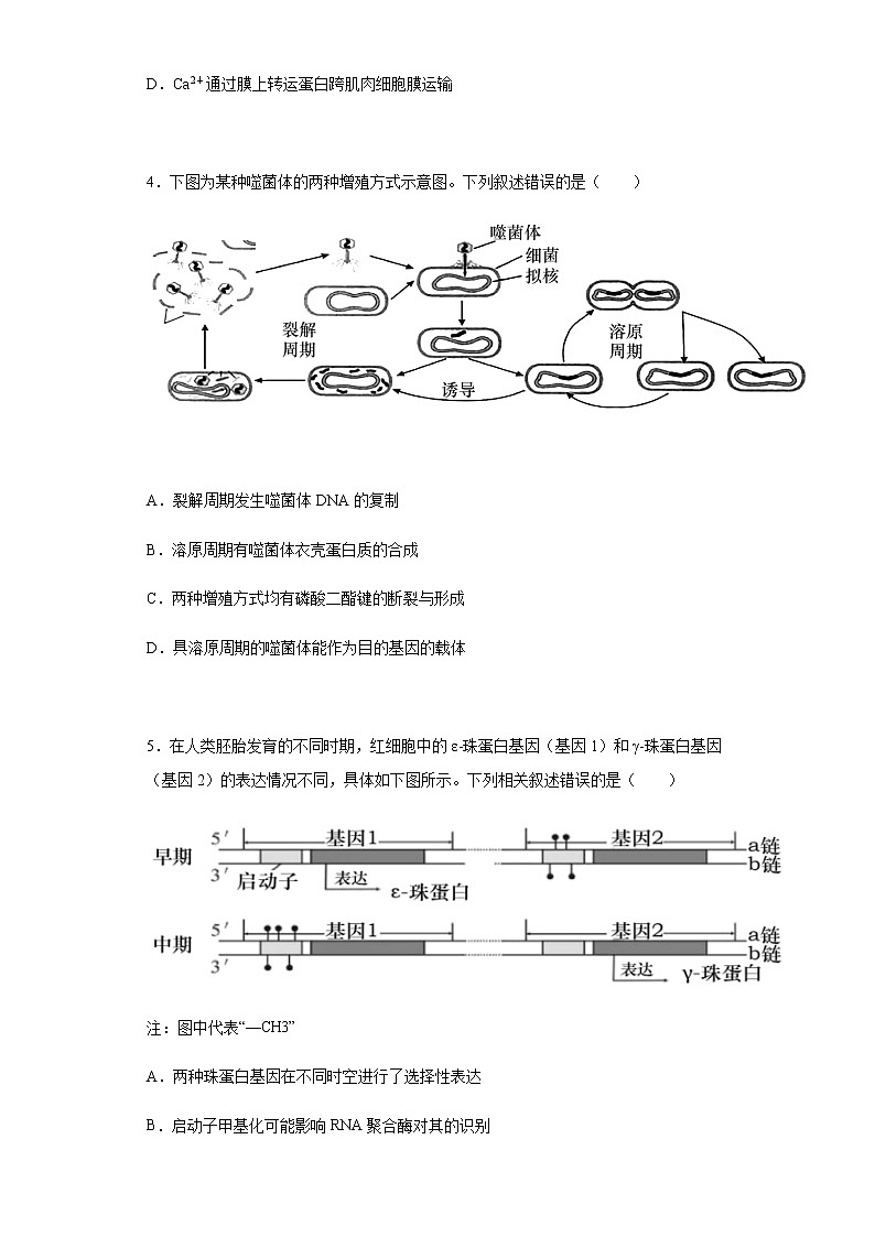2022届辽宁省大连市高三二模生物试题含解析02