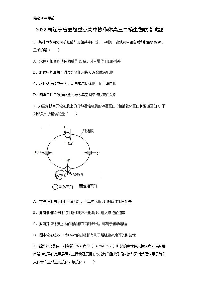 2022届辽宁省县级重点高中协作体高三二模生物联考试题含解析第1页