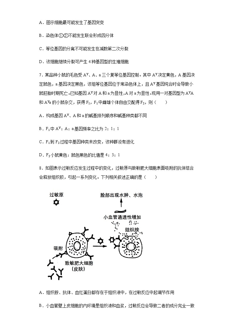 2022届辽宁省县级重点高中协作体高三二模生物联考试题含解析第3页
