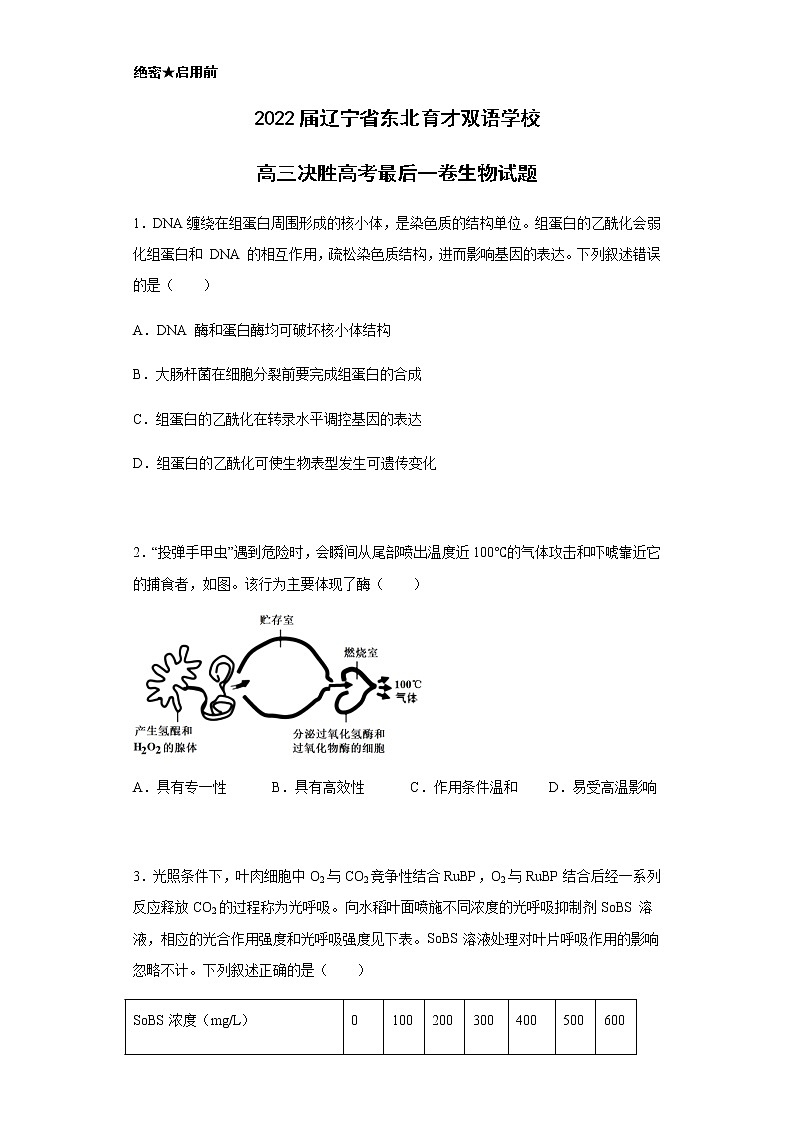 2022届辽宁省东北育才双语学校高三决胜高考最后一卷生物试题含解析01