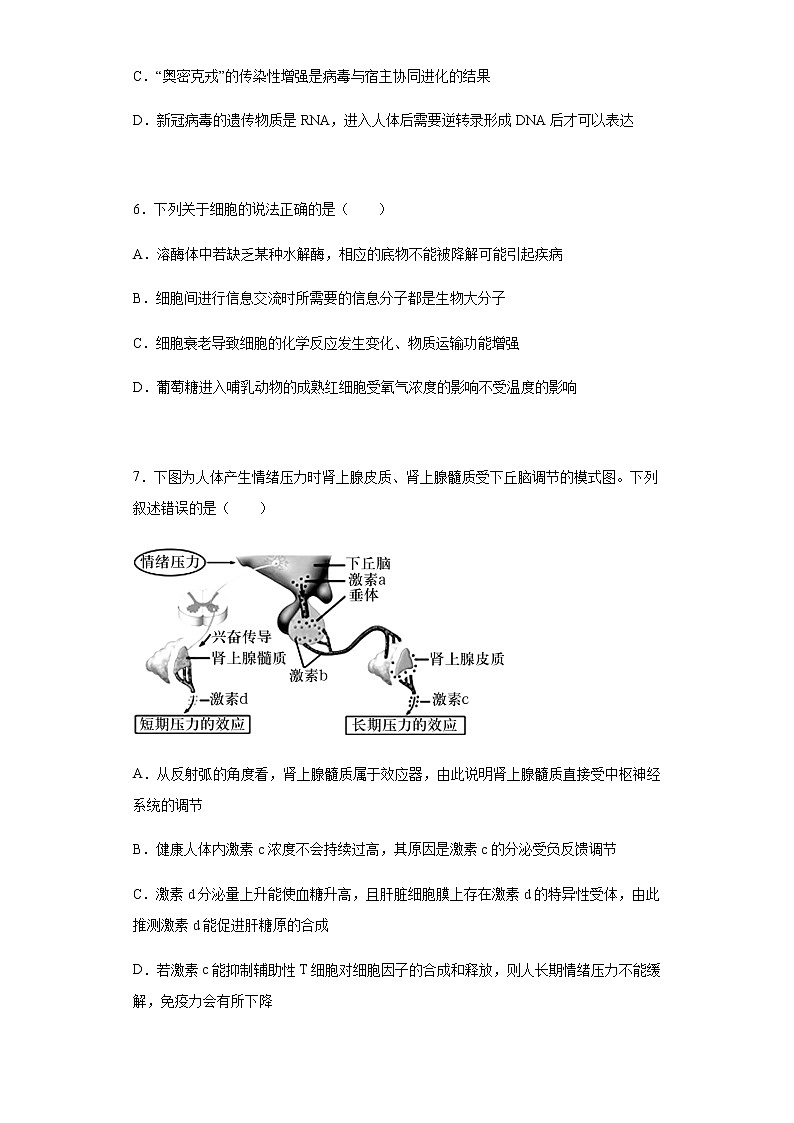 2022届辽宁省东北育才双语学校高三决胜高考最后一卷生物试题含解析03