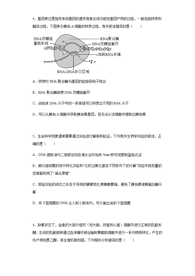 2022届辽宁省丹东市高三总复习质量测试（二）生物试题含解析第2页