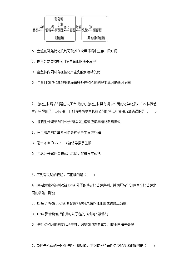 2022届辽宁省丹东市高三总复习质量测试（二）生物试题含解析第3页