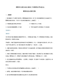 2022届贵州省贵阳市五校高三下学期联考（五）高三下学期联考（五）理综生物试题含解析