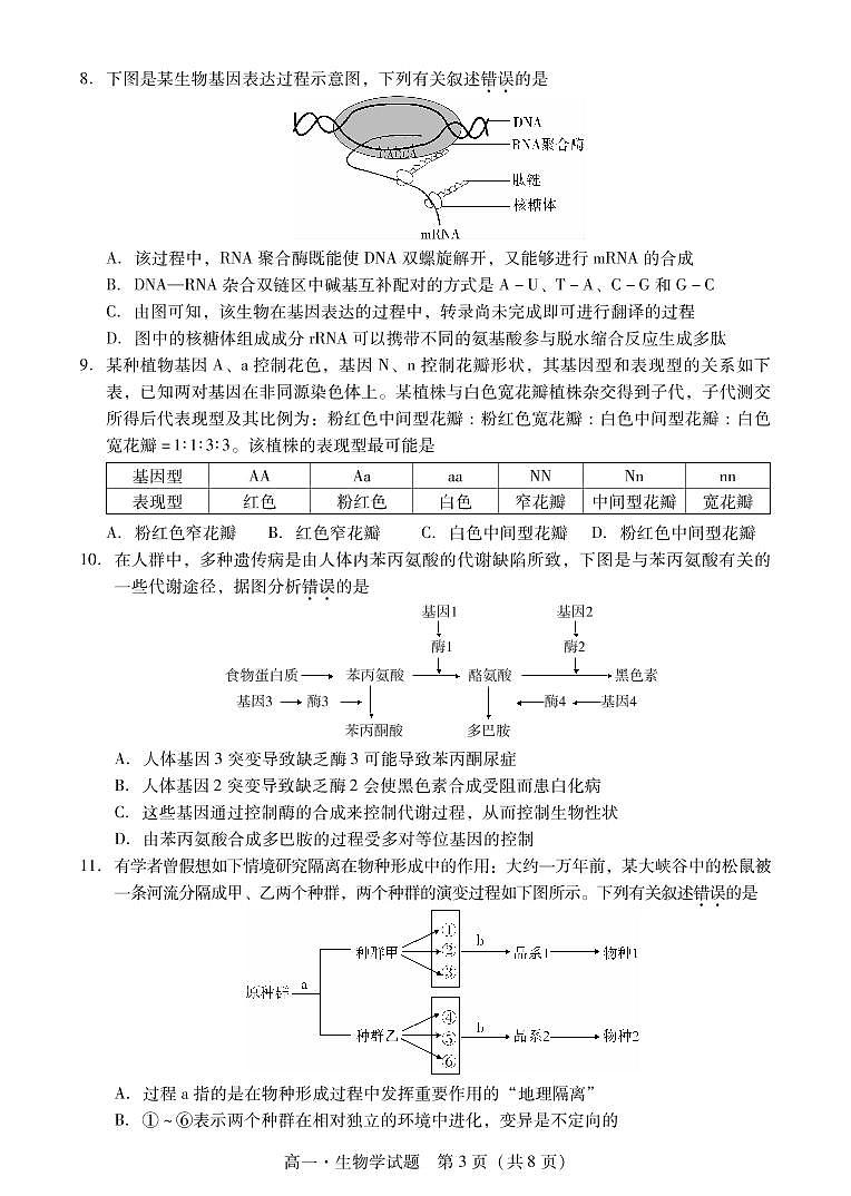 2020-2021学年广东省汕尾市高一下学期期末考试生物试题 PDF版03