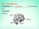 2022_2023学年新教材高中生物第2章神经调节第1节神经调节的结构基次件新人教版选择性必修1 课件
