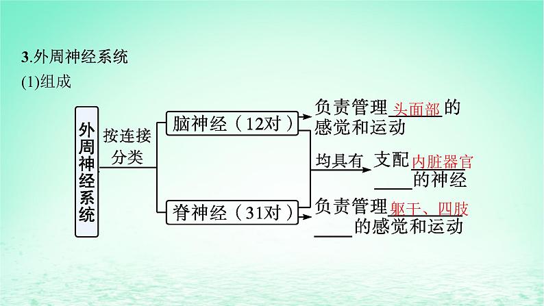 2022_2023学年新教材高中生物第2章神经调节第1节神经调节的结构基次件新人教版选择性必修1第7页