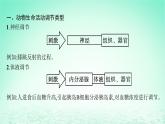 2022_2023学年新教材高中生物第3章体液调节微专题二动物生命活动调节类型及下丘脑课件新人教版选择性必修1