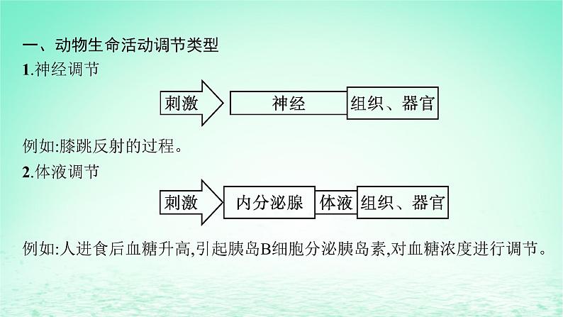 2022_2023学年新教材高中生物第3章体液调节微专题二动物生命活动调节类型及下丘脑课件新人教版选择性必修102