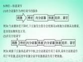 2022_2023学年新教材高中生物第3章体液调节微专题二动物生命活动调节类型及下丘脑课件新人教版选择性必修1