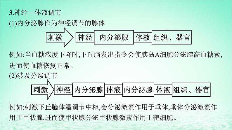 2022_2023学年新教材高中生物第3章体液调节微专题二动物生命活动调节类型及下丘脑课件新人教版选择性必修103