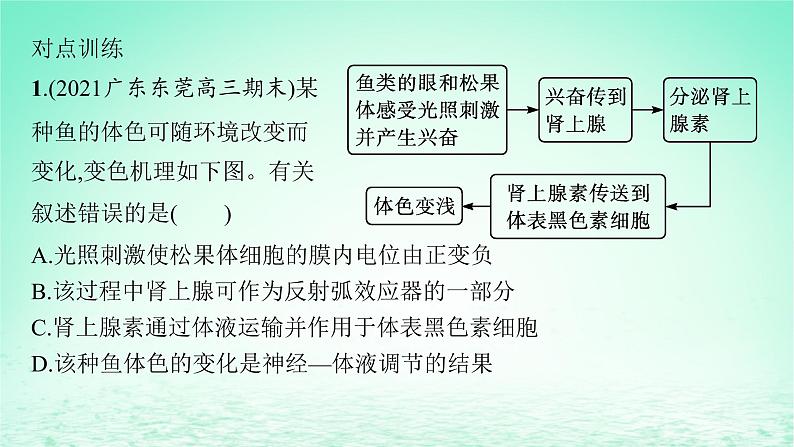 2022_2023学年新教材高中生物第3章体液调节微专题二动物生命活动调节类型及下丘脑课件新人教版选择性必修104