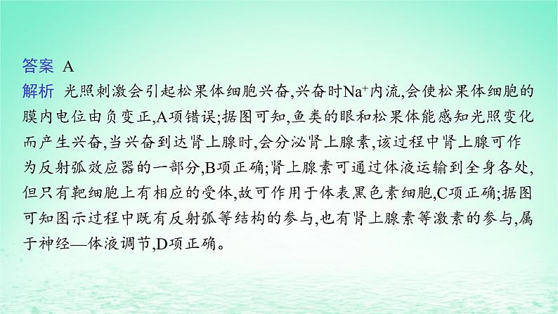 2022_2023学年新教材高中生物第3章体液调节微专题二动物生命活动调节类型及下丘脑课件新人教版选择性必修105